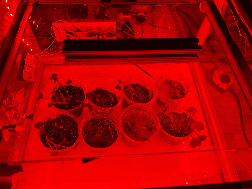 UI and Controls System for NASA xHAB ISS EXPRESS Rack Redesign